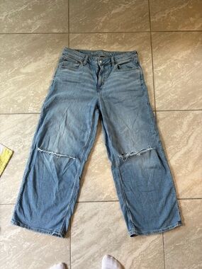 American Eagle low Rise baggy wide leg distressed jeans
